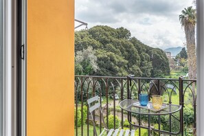 Departamento superior, 1 habitación, balcón | Balcón