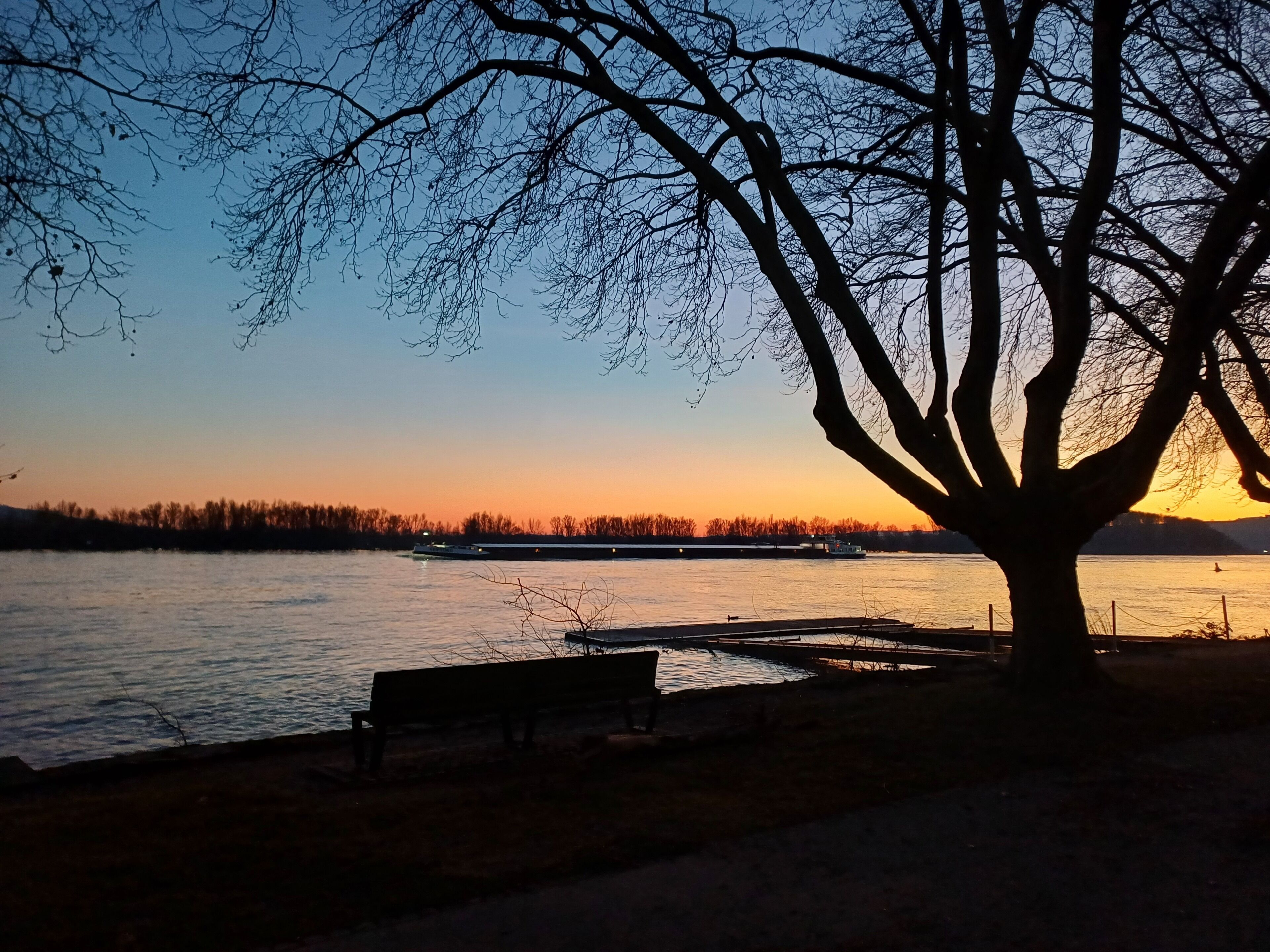 A bench by a river at sunset with a tree in the foreground and a boat in the background.