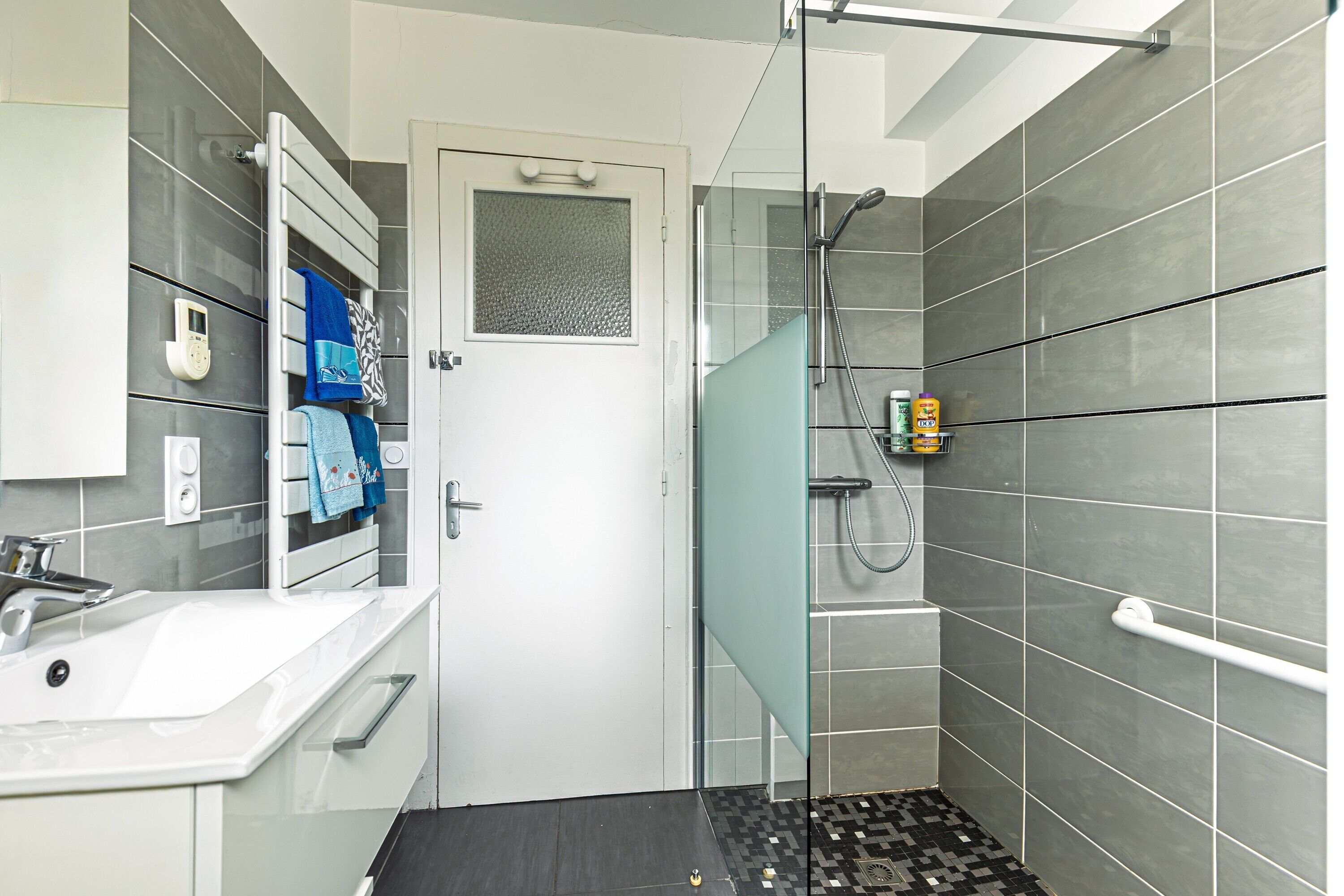 Shower, hair dryer, towels