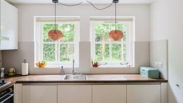 A kitchen with two windows, a sink, and a countertop.