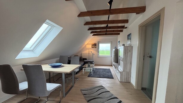 A loft-style room with a skylight, a dining area with a table and chairs, a sofa, a TV, and a door leading to another room. - Huus Diekblick Ditzum (Bunde)