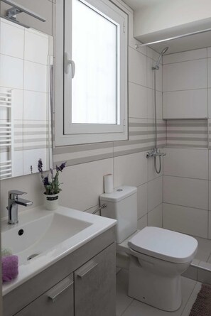 Shower, hair dryer, towels, shampoo - The Athenian Penthouse Studio - An Urban Haven (Athina)