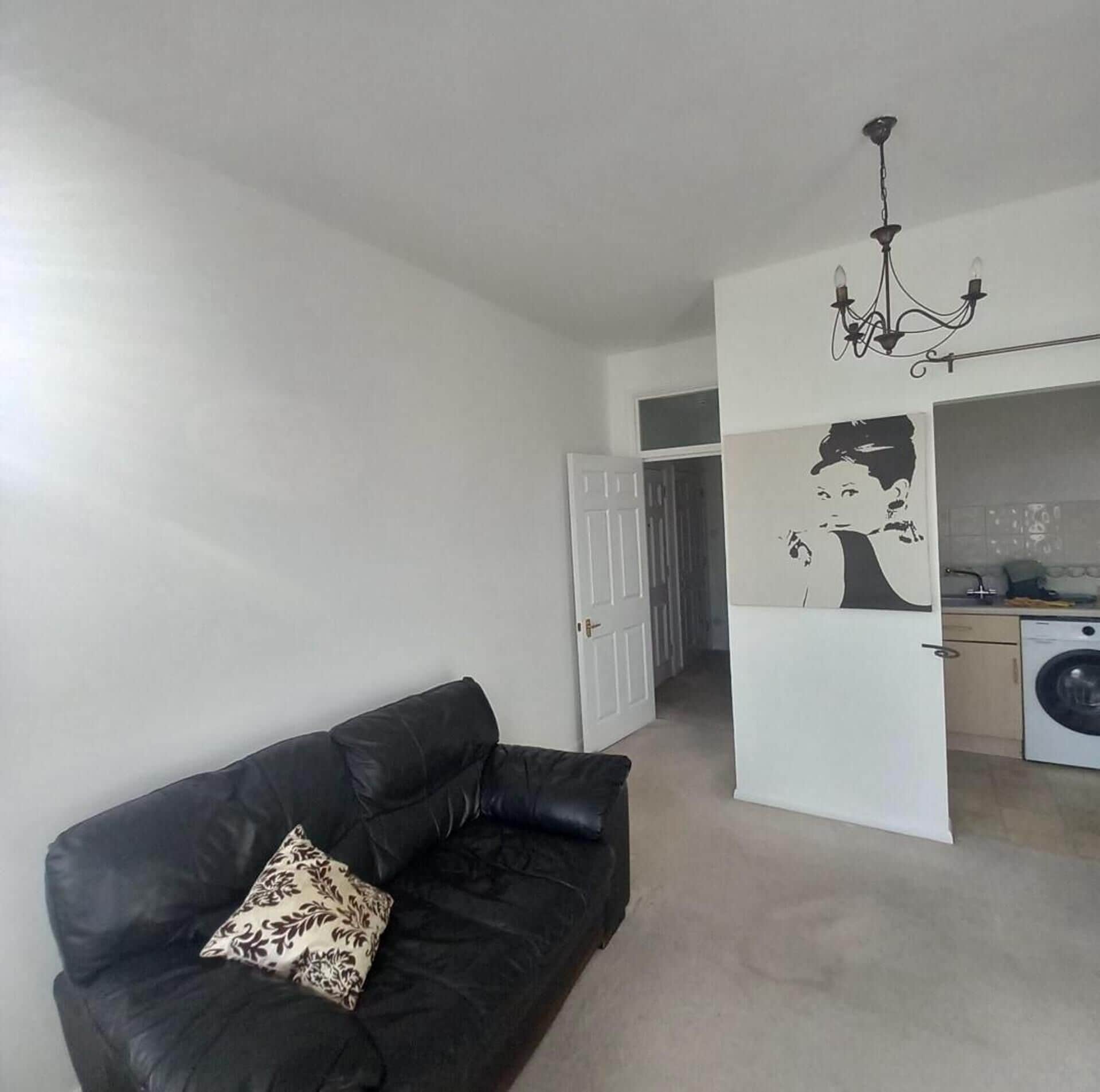 A living room with a black leather sofa and a patterned pillow, a white door leading to a hallway, and a kitchen area with a washing machine.