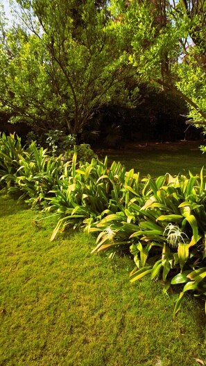 Taman
