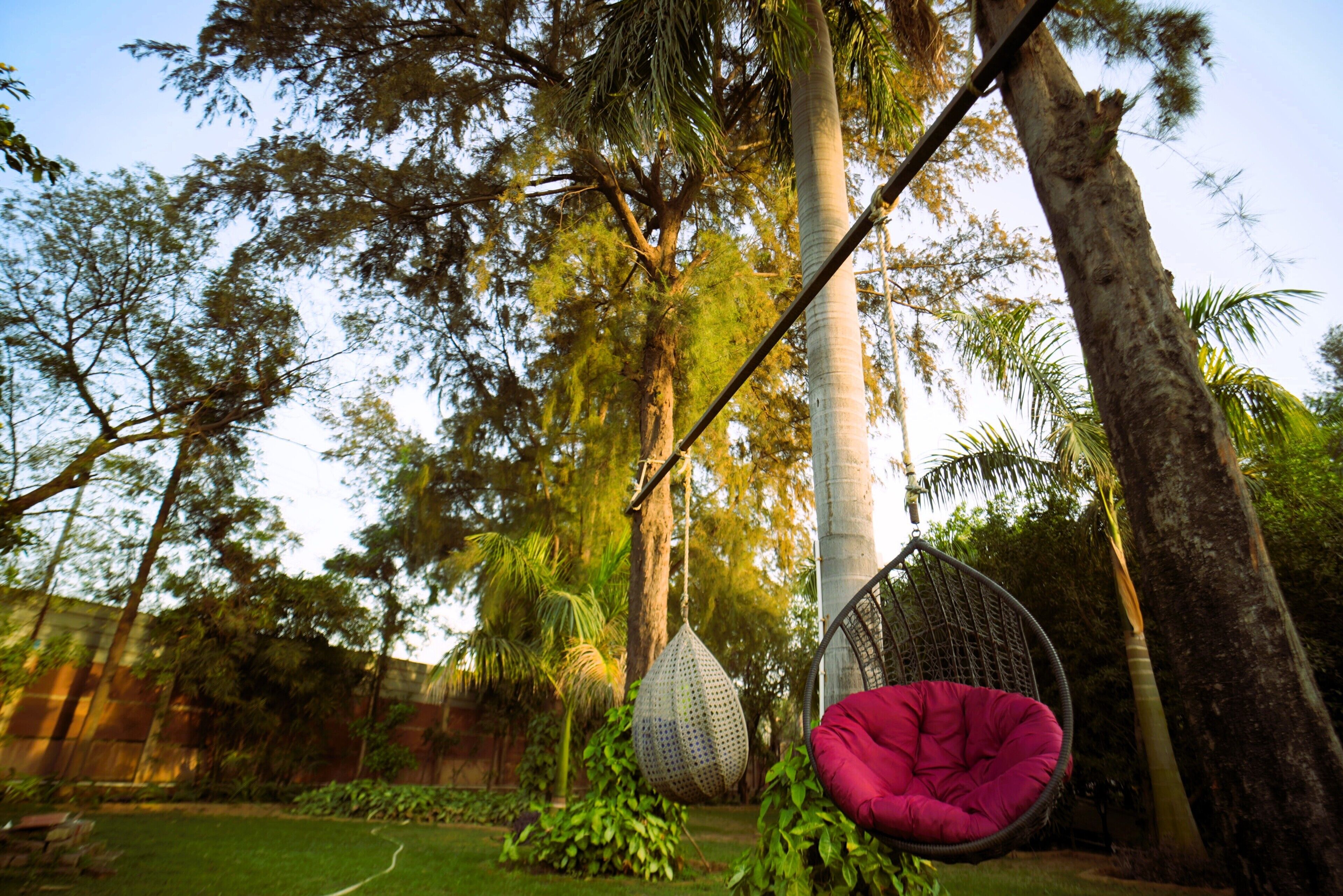 Garden view