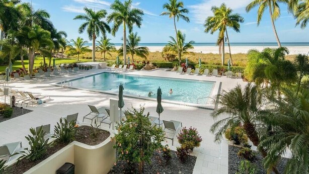 Un espace piscine agrémenté de chaises longues et de palmiers, avec vue sur une plage.