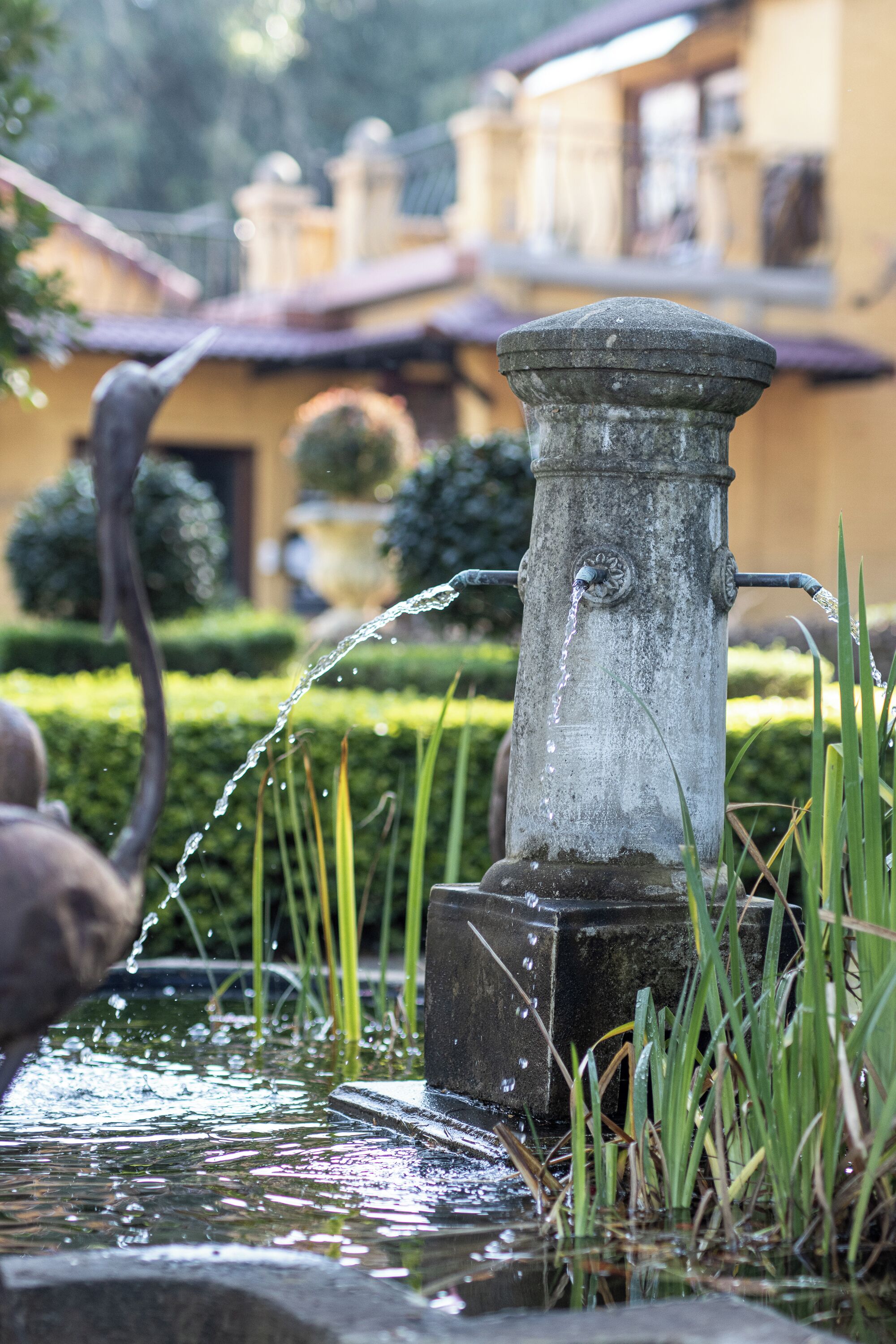 A water feature with a spout and a stone structure, surrounded by greenery.