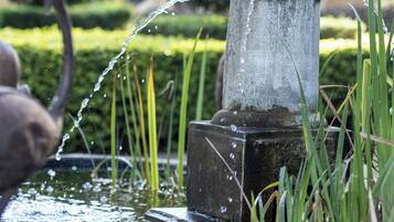 A water feature with a spout and a stone structure, surrounded by greenery.