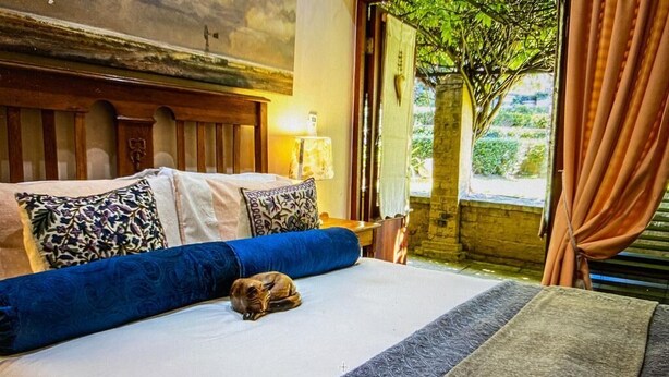 A bed with a patterned bedspread, a blue pillow, and a decorative pillow.