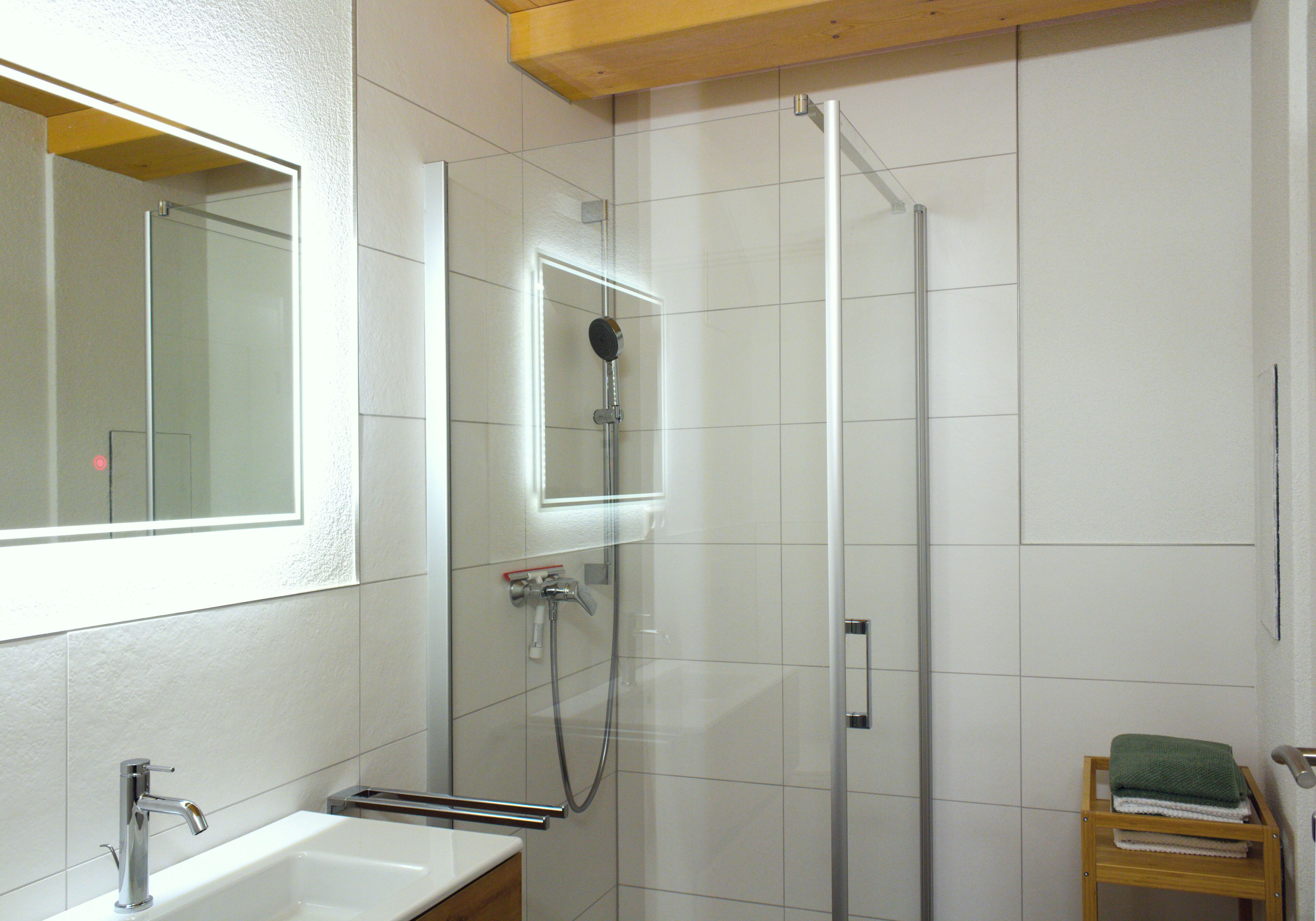 Shower, towels, toilet paper