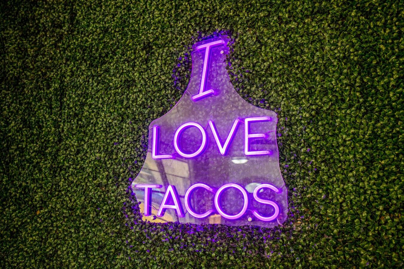 Ein Neon-Schild mit dem Schriftzug 'I LOVE TACOS' vor einem strukturierten Hintergrund.