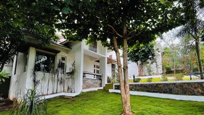 Ein modernes Haus mit einem gepflegten Rasen, einem großen Baum und einer Steinmauer.