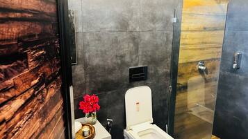 Bidet, towels, soap, toilet paper