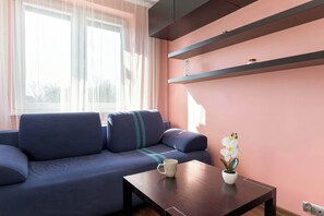 Fernseher, Arbeitsbereiche