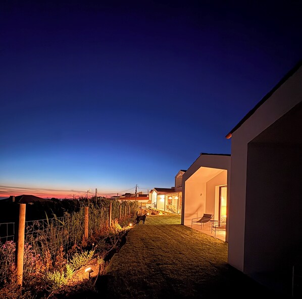 A pathway leading to a modern house with a well-lit interior, surrounded by a garden.