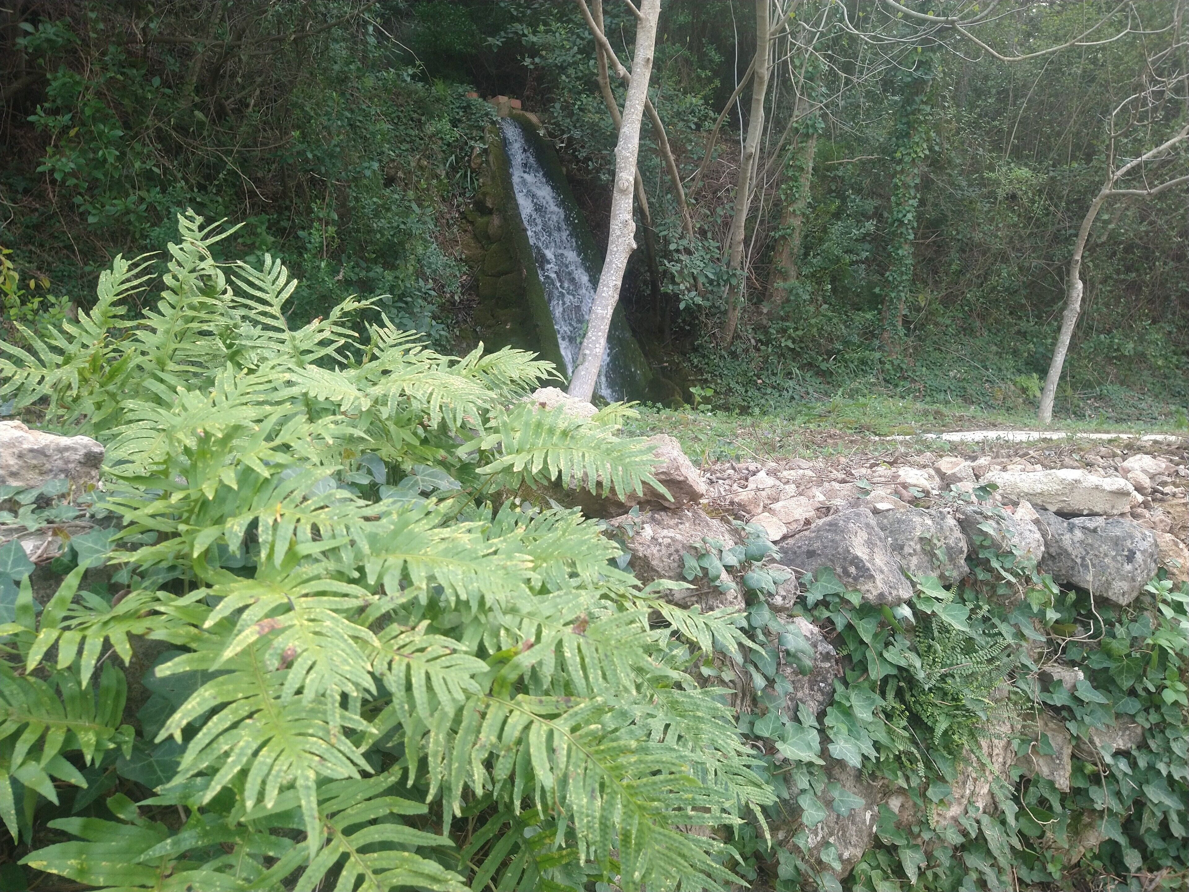 Een natuurlijk landschap met een waterval, weelderige begroeiing en een rotsachtig terrein.