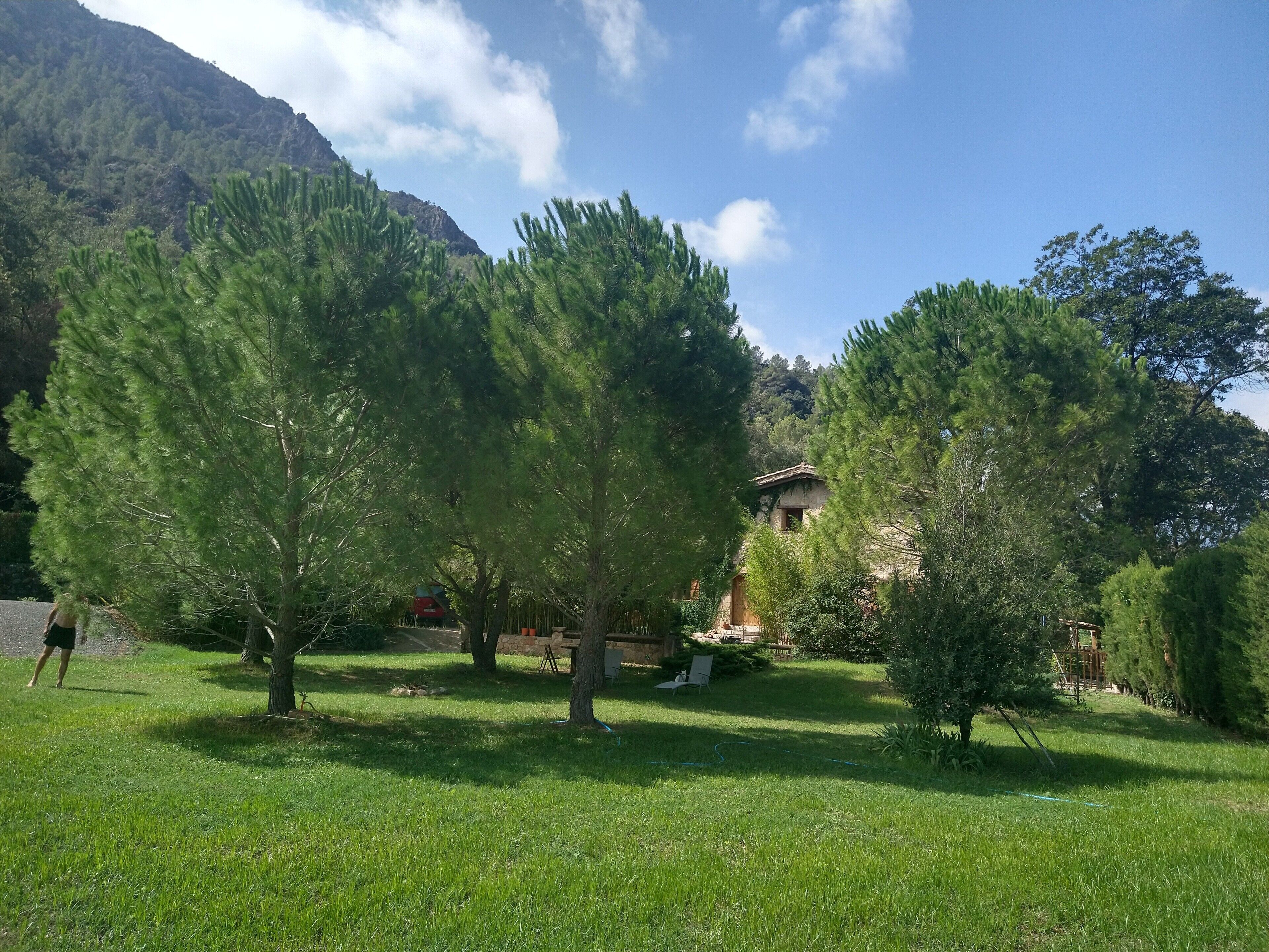 Jardines del alojamiento