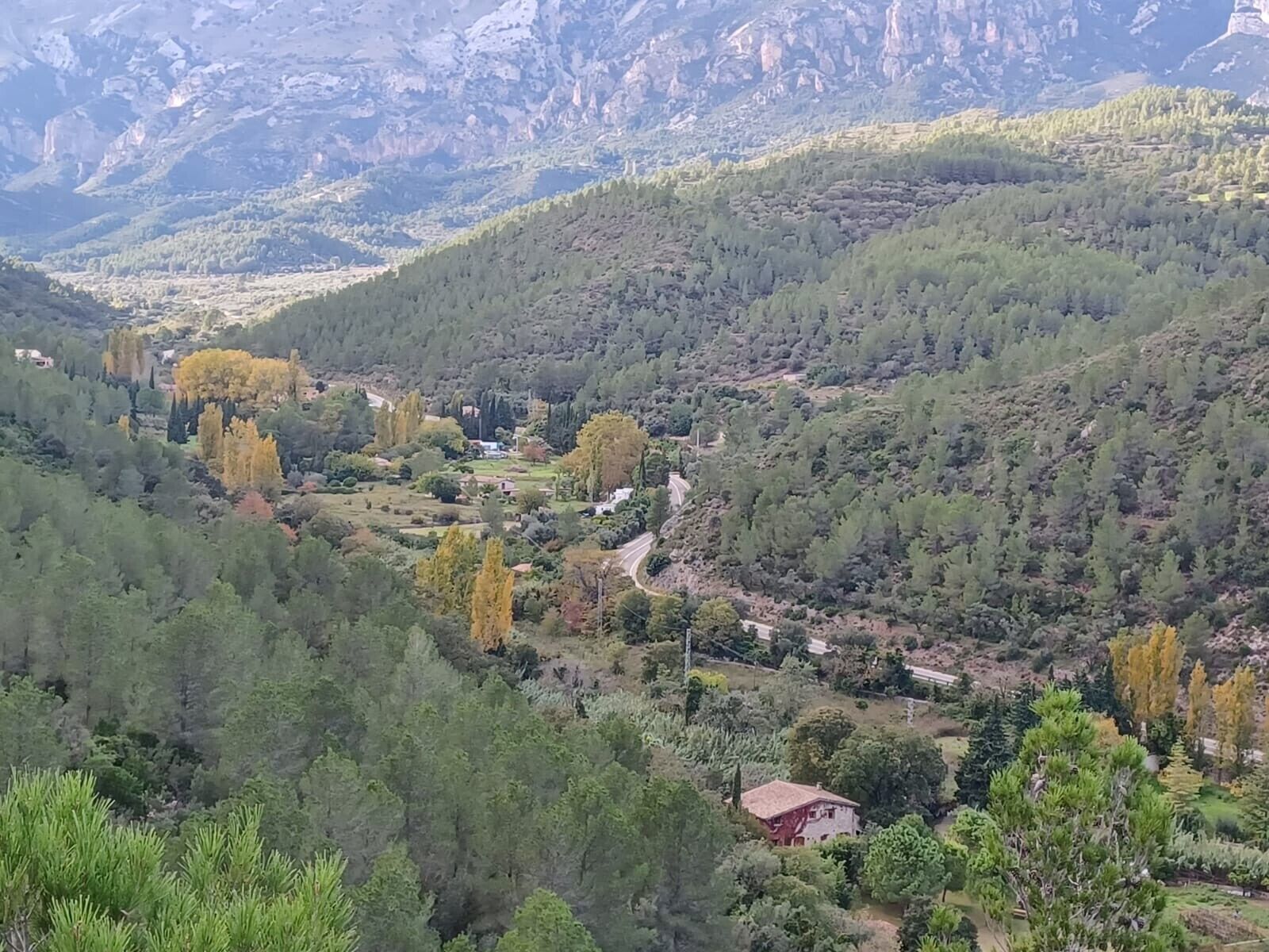 A mountainous landscape with dense forests, a winding road, and a small building.