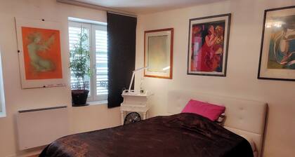 Bed and breakfast - Résidence Créative Froehly, historic center of Colmar