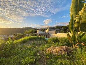 Property grounds - The plaid zebra (Entre-Deux)