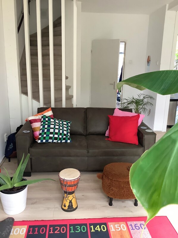 Una sala de estar con sofá, cojines, un tambor, una planta en maceta y una hoja verde grande.