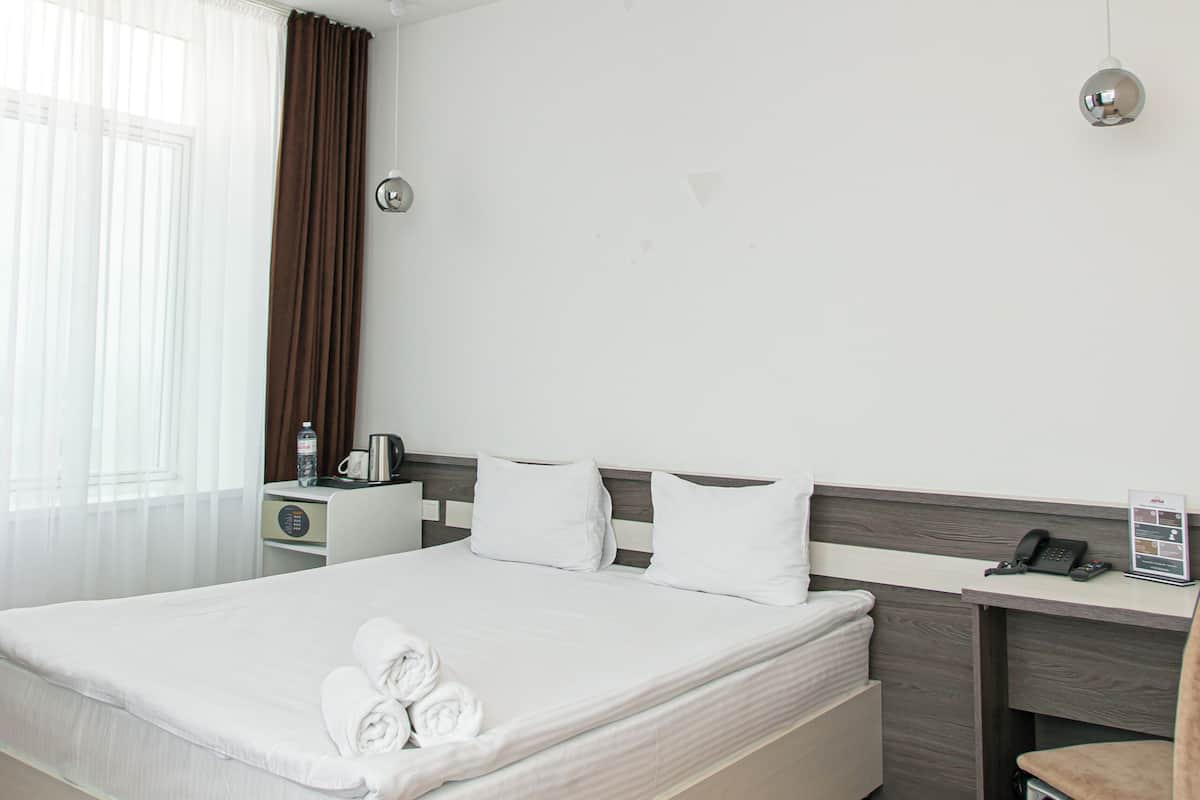 Habitación estándar doble, vistas a la ciudad