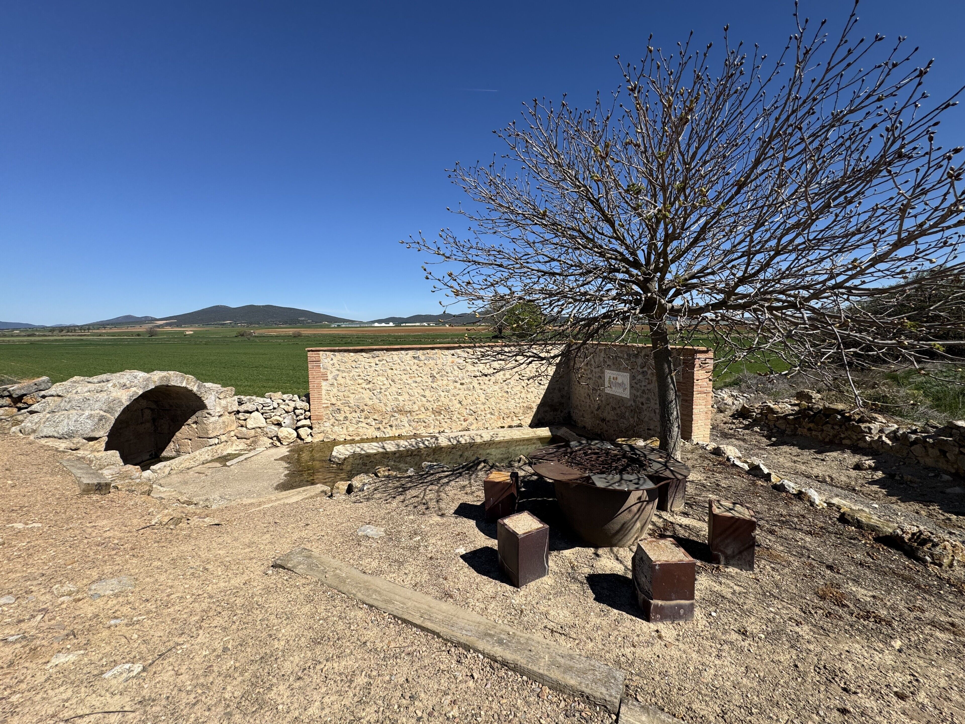 An outdoor archaeological site with stone structures, a tree, and a clear sky.