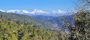 Miscellaneous - SD Motel (Dhari)