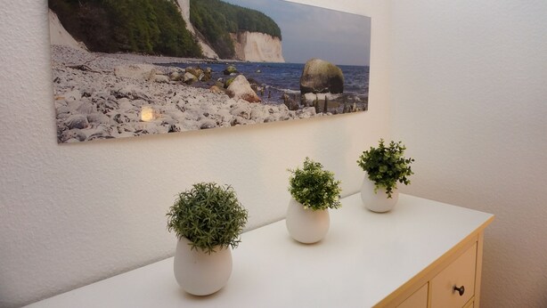 Een schilderij van de kust, drie potplanten en een wit kastje.