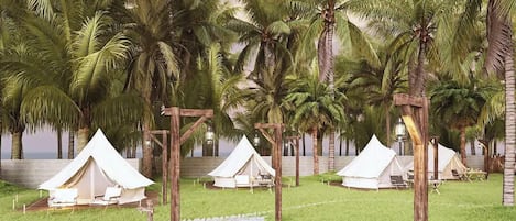 Lều Premier, quang cảnh biển | Khuôn viên nơi lưu trú