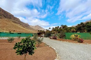 A paved road leading to a building with a green fence and palm trees in the background. - Finca Apartment near Maspalomas (Arteara)