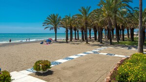 A beach with palm trees, a sandy path, and a clear blue sky.