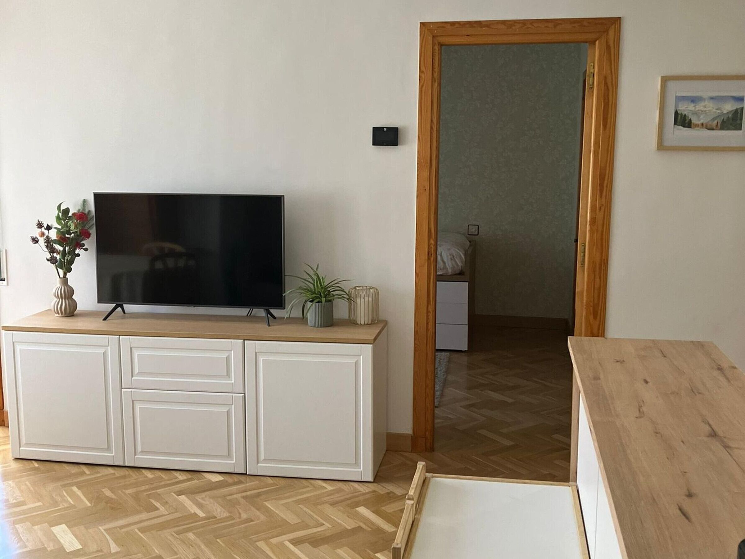 Una habitación con televisión sobre un mueble, una puerta de madera y una pequeña planta.