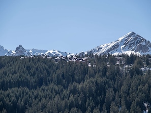 Eine Berglandschaft mit dichtem Wald im Vordergrund und schneebedeckten Gipfeln im Hintergrund.
