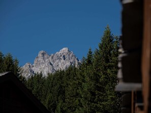 A mountain range with dense forest in the foreground. - Courchevel 1850: Ski-in/ski-out apartment, 3 bedrooms, Wi-Fi, parking (Courchevel)