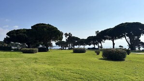 En park med grøn græs, træer og en klar himmel.