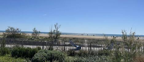 Nær stranden