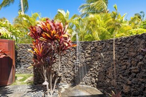 A tropical garden with a water feature, including a waterfall and a plant with red leaves. - 4 BR Oceanfront Home with theater - Hilton Waikoloa Access Included (Waikoloa)