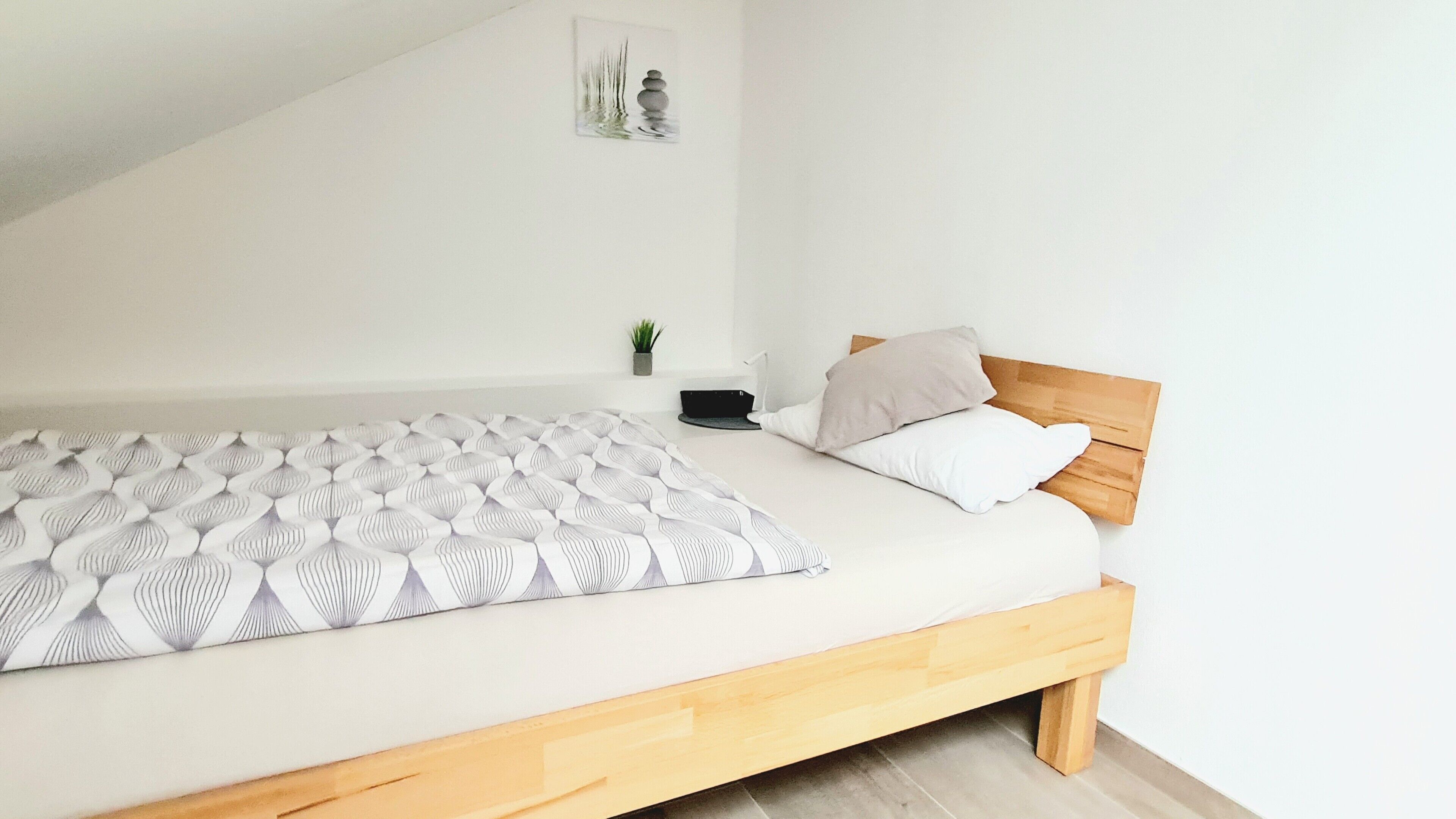 A modern bedroom with a wooden bed frame, a patterned bedspread, and a small potted plant on the nightstand.