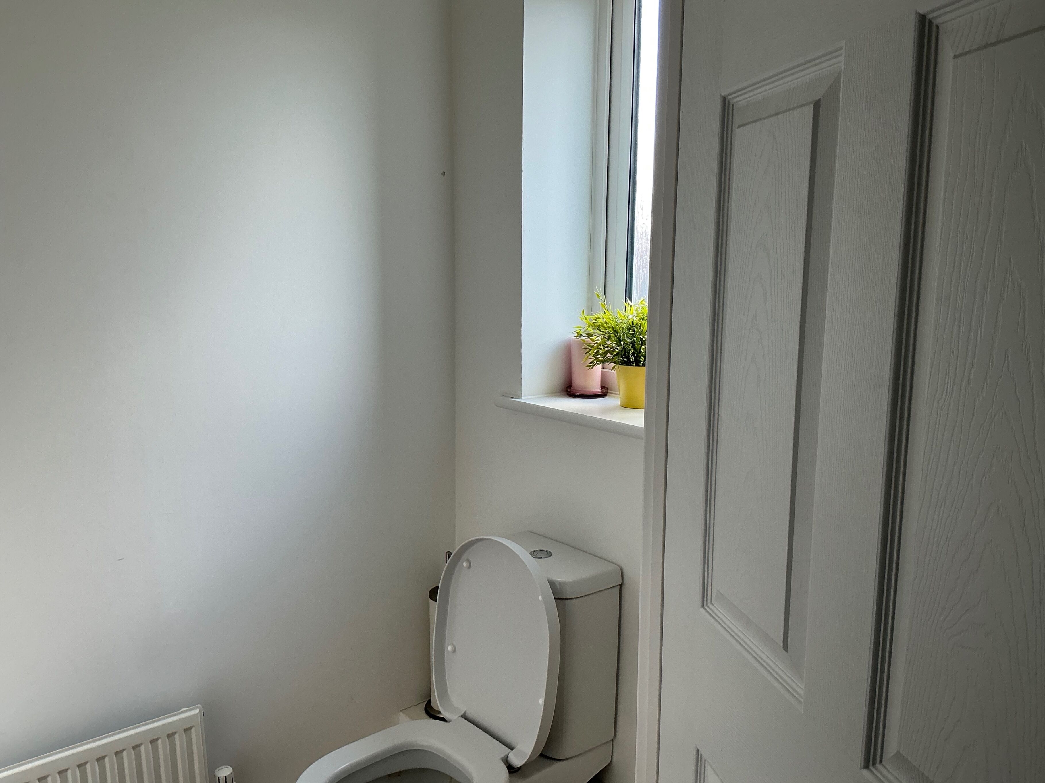 Ein Badezimmer mit Toilette, einem Fenster mit Pflanze und einer Tür.