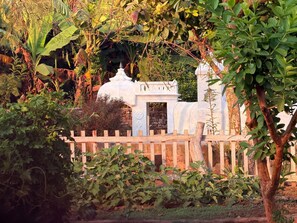 Property grounds - Jaadooghar- My Mom's Village Ayodhya (Basti)