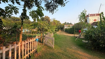 Área da propriedade