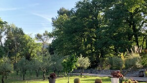 Une piscine entourée d’une pelouse bien entretenue et agrémentée de diverses plantes en pot.