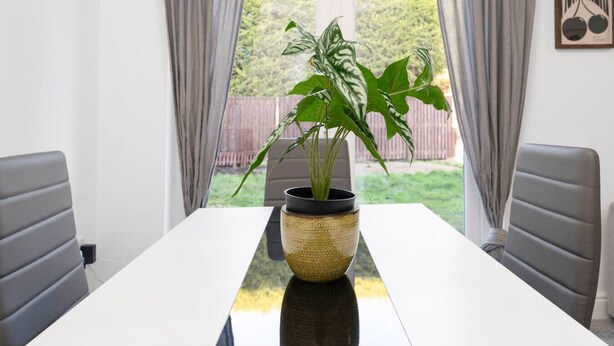 Een eettafel met een plant in pot, twee stoelen en een raam met gordijnen.