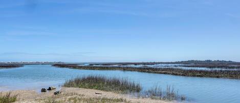 A coastal landscape with a sandy beach, shallow water, and sparse vegetation.