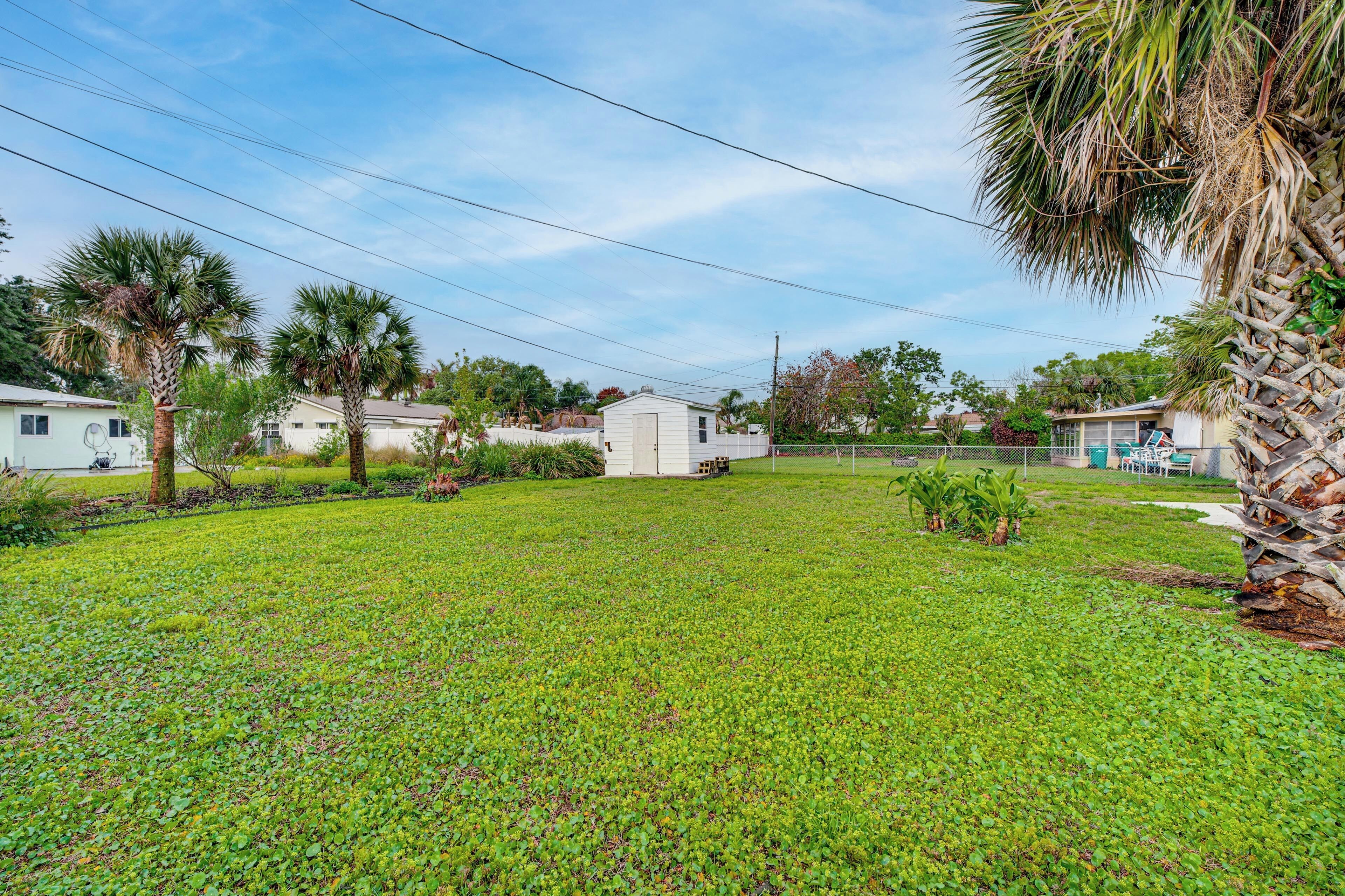 A residential area with houses, a grassy yard, and palm trees.