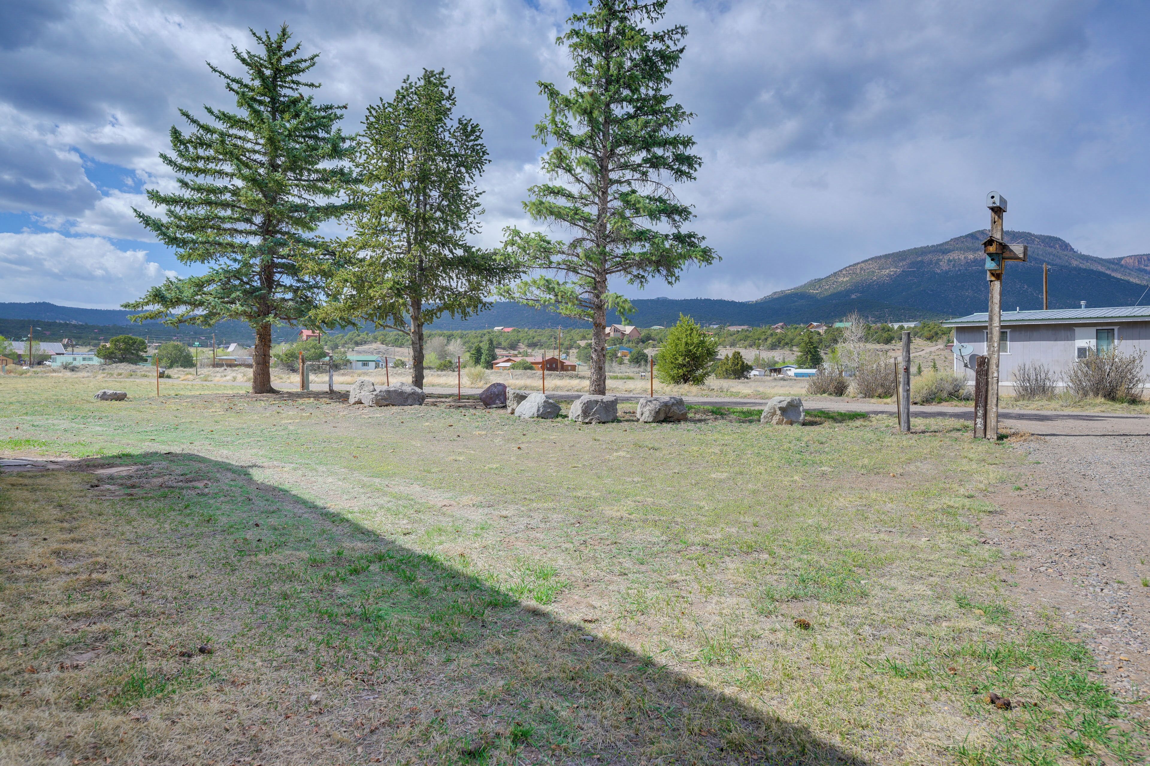 A rural landscape with three pine trees, a wooden post with a birdhouse, and a distant mountain range.