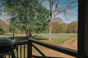 Property grounds - Charming cottage on 8 acres of peace & tranquility just a short drive from town. (Boaz)