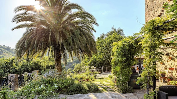 Un jardín con una palmera, un camino de piedra y una zona de estar al aire libre.