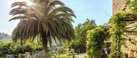Castel D'Arno Guest House | Property grounds